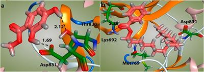 Cytotoxic effects of extracts and isolated compounds from Ifloga spicata (forssk.) sch. bip against HepG-2 cancer cell line: Supported by ADMET analysis and molecular docking